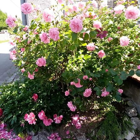 Gite Les 27 Roses Et Plus Chatel-Censoir Luaran gambar
